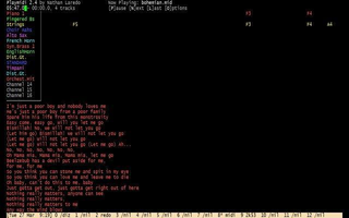 Screenshots of package playmidi