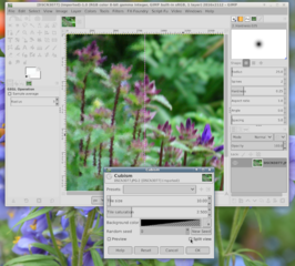 Screenshots of package gimp