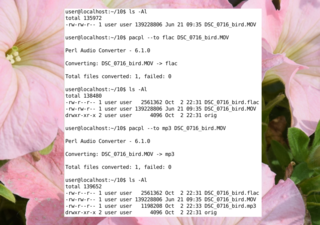 Screenshots of package pacpl