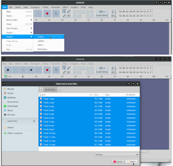 fast, cross-platform audio editor
